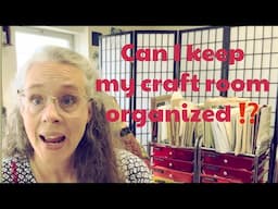 Can I keep my Craft Room Organized? Sorting Saturday