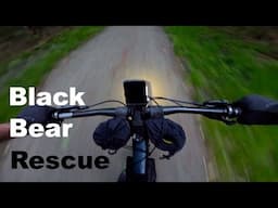 Black Bear Rescues Cubs From The Lehigh River | A Gravel Ride on A Specialized Epic