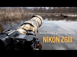 Nikon Z6III for Waterfowl Photography | Setting Up and Features I Use