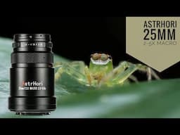 AstrHori 25mm 2–5x Macro Lens Review: Ultra Close-Up on a Budget