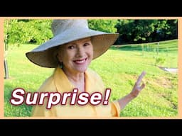 I Said I Wouldn't Do It Again, But... May Garden Tour Part 1!