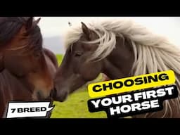 Choosing Your First Horse? These 7 Breeds Are Beginner-Proof! 🐎✅