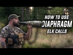 Mastering The Basics Of Elk Calling