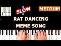 RAT DANCING MEME SONG - SLOW MEDIUM Piano Tutorial