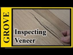 Inspecting Veneer