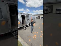Beautiful day camping #airstream #asmr #rv #camping