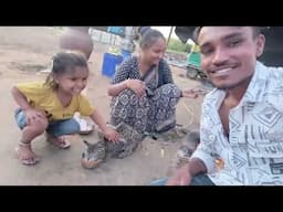 વિશ્વા જઈ જામફર લેવા #subscribe 📈