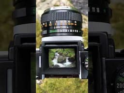 An amazing Camera ⭐️