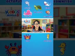 Learn English Sea Animal Names and Facts