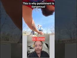 Trainer Punishes Dog, Dog Bites Back! #dogtraining #veterinarian