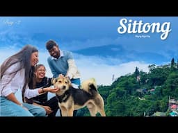 Sittong ♥️ ||Day -2 || @BongPosto @Subhammondal408 @SanjanaHazra004 #doyelroy #vlog#sittong