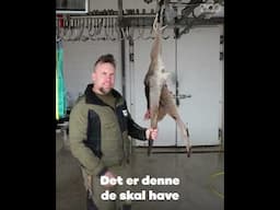 International Tasmansk Pungdjævledag 😈