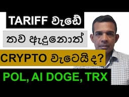 TARIFF වැඩේ තව ඇදුනොත් CRYPTO තවත් වැටෙයි ද? | POL, AI DOGE, TRX, AND BITCOIN
