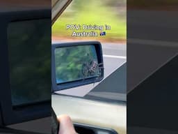 Giant Spider On Side Mirror 🕷️