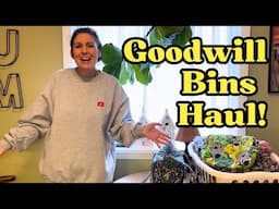 I Found Some Great Items at the Bins! Goodwill Bins Haul