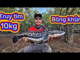 Truy Tìm Lóc Bông Khủng Đập Cần Đơn Sông Bé - Phần 1