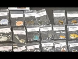 LIVE ~ THURSDAY ~ NEW EXCITING STONES!!!