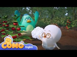 Curious Como | A New Perspective! Explore the World with Curious Como😮