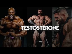 THE GYM 𝐀𝐃𝐑𝐄𝐍𝐀𝐋𝐈𝐍