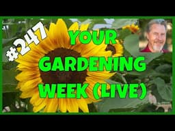Your Biggest Gardening Challenges (Q&A)