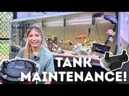 African Cichlid Tank Maintenance! Fluval FX6 Clean-out  + NEW UVC