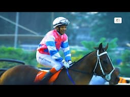 Poonawalla Breeders Multi Million 2025 Winner | BIG BAY