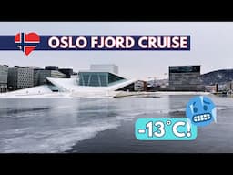 Oslo Fjord Sightseeing Cruise in the Winter