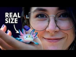 The Smallest Creatures To Ever Exist on Earth