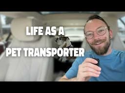 Transporting Dogs in a Mercedes?! - Life as a Pet Transporter