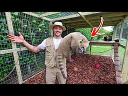 Building My EXOTIC ANIMAL a NEW ENCLOSURE!!
