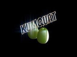 JakoJako - Kumquat (Official Audio)