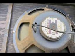 Don't Replace Your Speaker! Fix it With THIS easy DIY Hack