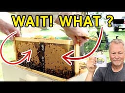 Beekeeping: How To Inspect Your Bees After Winter (Step-by-Step Walkthrough)