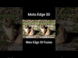 #cameraphone #motorola #motorolaedge50 #motorolaedge50fusion