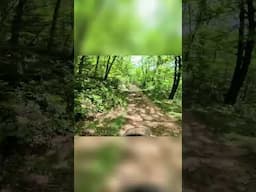 Sunlit Trails & Muddy Motorcycle Adventures