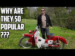 Honda Cub C50 C70 C90 . Why Everyone Should Have a Small Bike. Ultimate Adventure Bike .