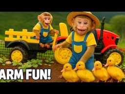 Bim Bim monkey helps and takes care of the duckling in the garden