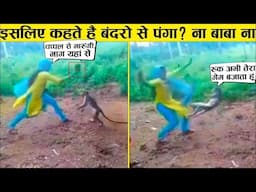 इसको बंदर से चालकी करना महँगा पड़ गया 🤣😂funny moments recorded cought on camera