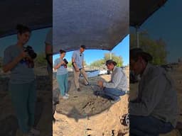 Metal detecting at a 2,000-year-old village #history #ancient #israel