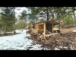 Remote  Log Cabin Visit With My Dog.