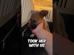 A Miracle Rescue You Have to See! 😧🥰