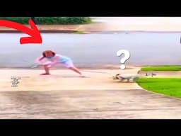 MOST EPIC ABRUPT CHAOS MOMENTS CAUGHT ON CAMERA *.* Pt. 6
