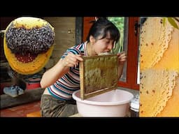 Enjoy the taste of raw honey as a gift from nature / Ana Bushcraft - Off grid Life
