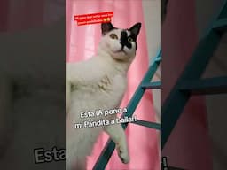 mi gata saca los pasos prohibidos con esta IA