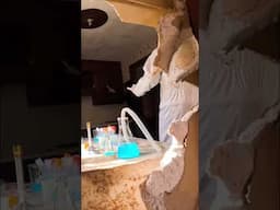 Abandoned house scare!? I can’t believe this happened