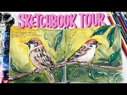Sketchbook Tour of My Completed 30 Days Of Sketchbook Joy Challenge!