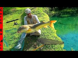 We CAUGHT a GIANT Invasive TIGER CATFISH!