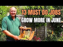 June Vegetable Garden Jobs – 13 Must Do Tasks for Big Harvests