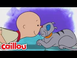 Caillou and Gilbert | Caillou - WildBrain | Learning for Kids