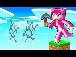 I Trapped My Friend in a Fake One Block World!